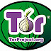 Tor Browser Bundle 4.0.1 - Protect your privacy