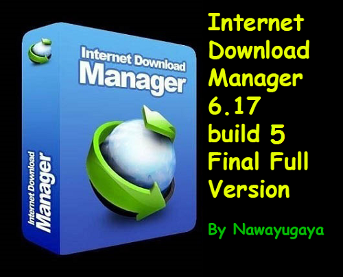 Internet Download Manager 6.17 Build 5 Free Download  