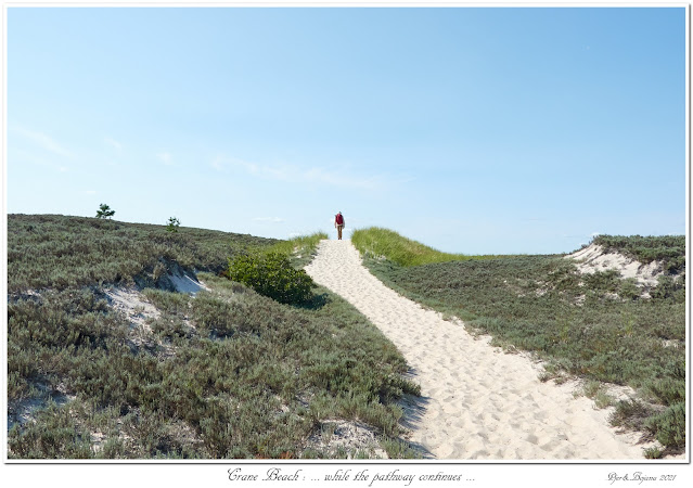 Crane Beach: ... while the pathway continues...