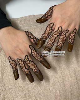 Full finger mehndi design