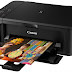 RESTEAR IMPRESORA CANON  MG3500 SERIES ERROR 5,6