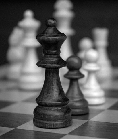 chess.jpg (411×486)