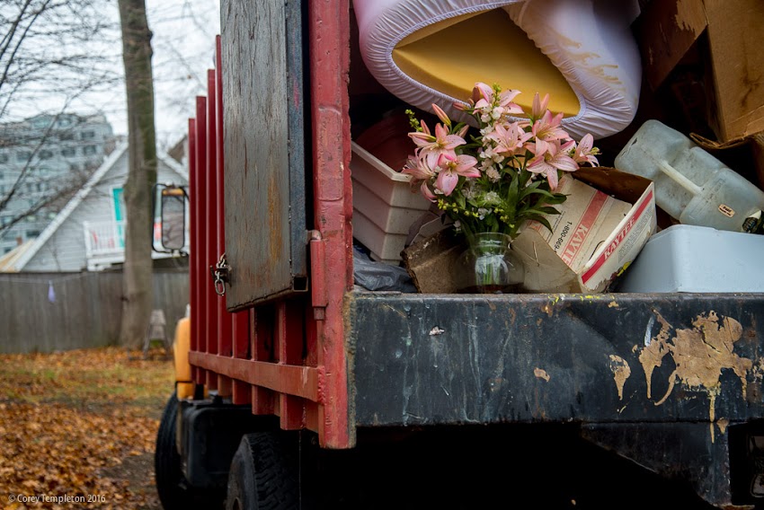 Portland, Maine USA November 2016 photo by Corey Templeton of flowers in back of old dump truck on Munjoy Hill.