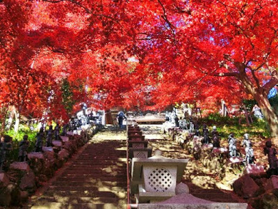  大山寺の紅葉