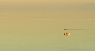 CALM 03