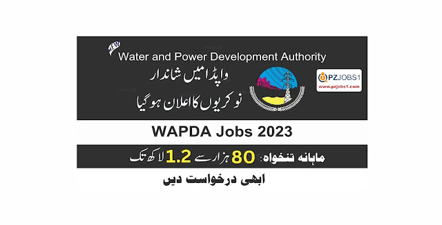 WAPDA Jobs 2023 Online Apply – Application Form