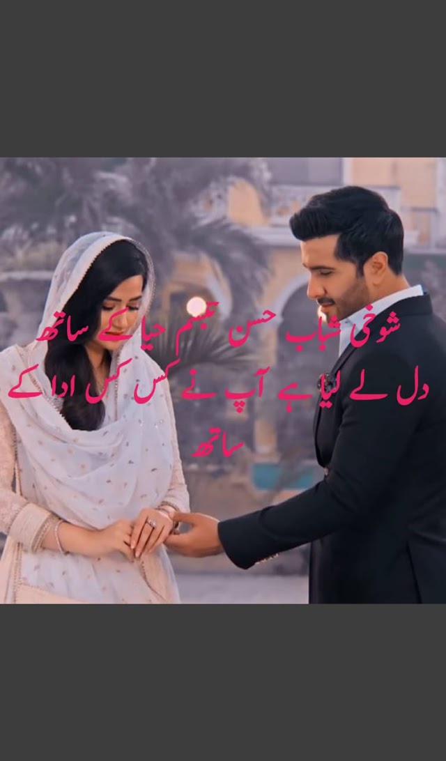 شوخی شباب حسن تبسم حیا کے ساتھ دل لے لیا ہے آپ نے کس کس ادا کے ساتھ