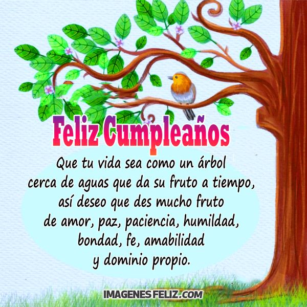 Feliz Cumpleaños Frases Largas Filosóficas Bonitas