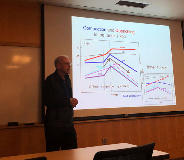 Joel Primack, UCSC, discusses prolate structure of early galaxies at UCI Seminar (Source: Palmia Observatory)