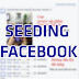 Khái niệm seeding là gì? Sử dụng seeding trên Facebook sao cho hiệu quả