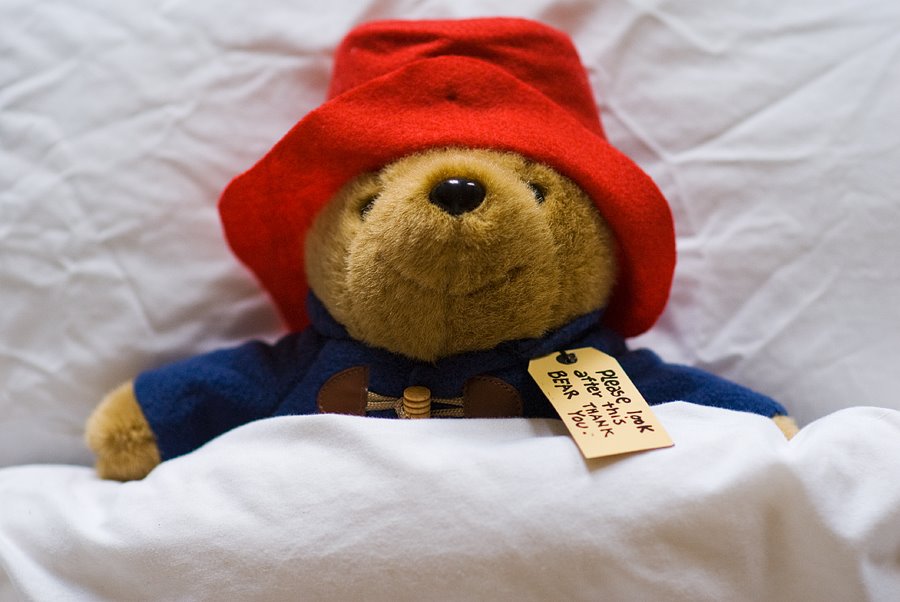 Paddington Bear has had his fill of marmalade, sticky buns, roast tatties, goose, brussel sprouts, glazed ham,panettone, winter berry crumble... 