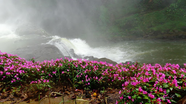 Canh sac tuyet voi duoi chan thac Dam B'ri