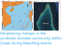 https://sciencythoughts.blogspot.com/2020/05/deciphering-changes-in-symbiotic.html