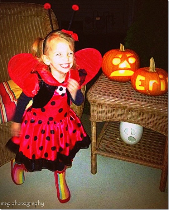 erin halloween ladybug