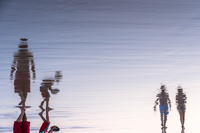 Reflejos. Foto de Carlos Larios