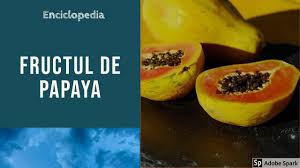 Papaya - Beneficii si retete culinare