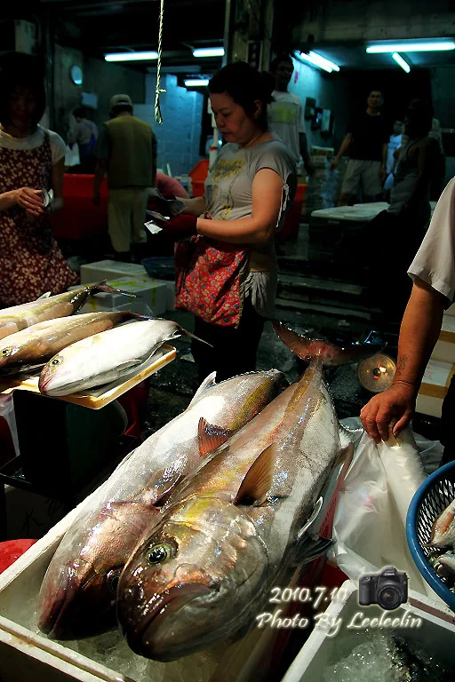 崁仔頂漁市｜媲美日本築地魚市場｜台灣築地魚市場｜基隆孝一路市場魚市早市