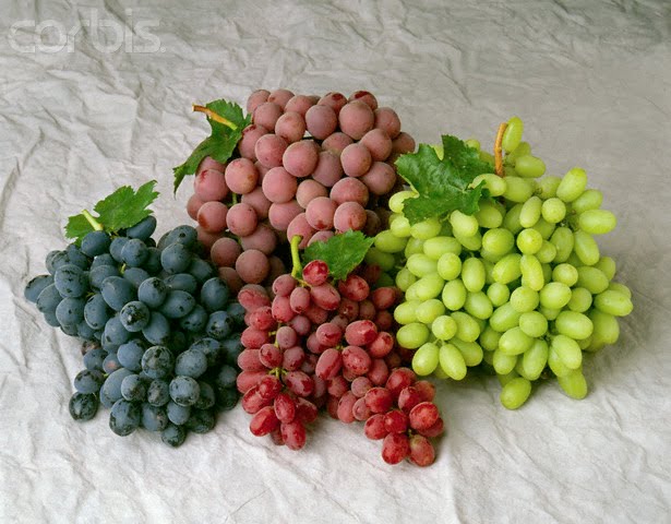 fat man eating grapes. girlfriend Do not eat too much of fruits. fat man eating grapes.