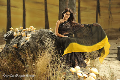 Genelia_Still_From_Naa_Ishtam_Movie