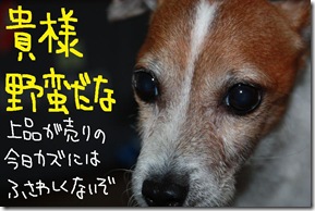 今日カズ１０１００１　２