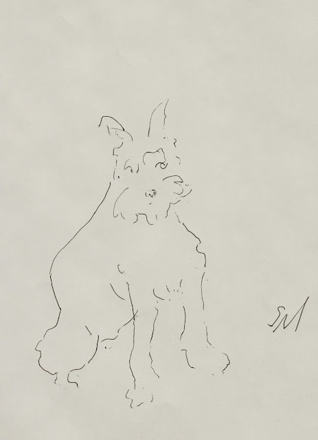 schnauzer, dog, puppy, fluffy, arte, seated, ink, line-drawing, drawing, study, sketch, portrait, art, S. Myers, Sarah Myers, minimalist, animal, fur, black on white