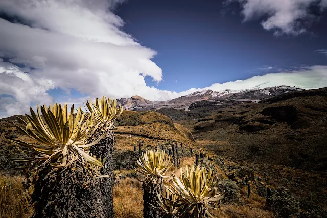 colombia