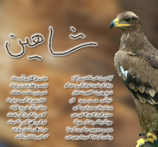 Revolutionary poets: Ghazals of ALLama IQBal ( Shaheen):