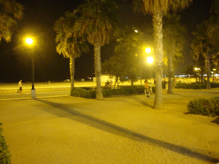 Valencia Beach at night photo - Palm trees