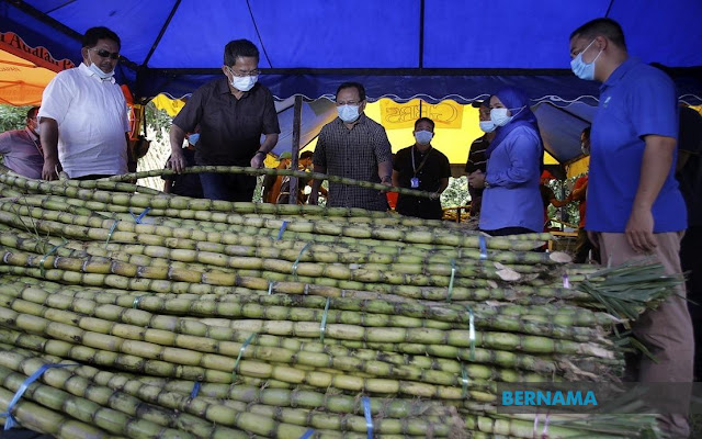 alHAMDULILLAH!!! Fama N. Sembilan bantu petani tebu pasarkan hasil dalam tempoh PKP. Lembaga Pemasaran Pertanian Persekutuan (Fama) Negeri Sembilan telah membeli sebanyak 11,190 batang tebu bernilai RM17,803 daripada 24 petani yang mengusahakan tanaman tebu di sini, dalam tempoh penguatkuasaan Perintah Kawalan Pergerakan (PKP) sejak 22 April hingga 30 April lepas. 