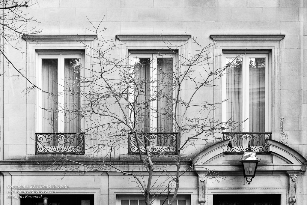 a photo in black and white of a manhattan brownstone townhouse with a bare tree