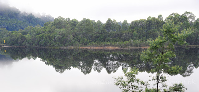 tasmania, Lake St. Clair