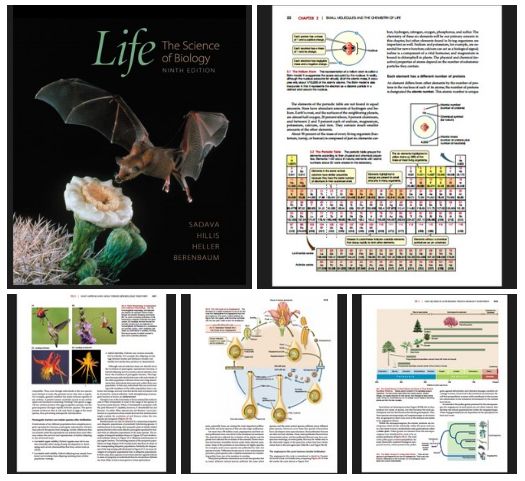 ap  biologie, canada  , usa  ,  learn  , english  ,  book  , magazine  ,  how  ,  university  , khan academy  