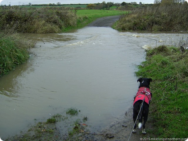 warkworth 005