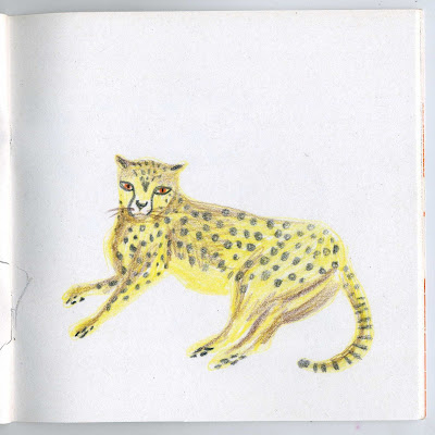 illustration animaux afrique