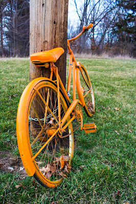 Image by J. Allen Wood; an older full size bicycle painted all orange, including tires, is leaning against a telephone pole