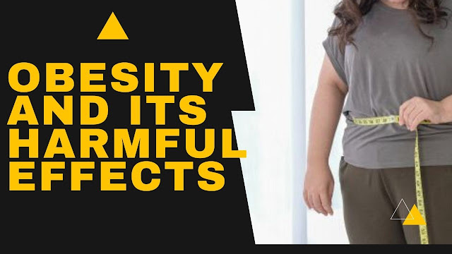 Obesity And Its Harmful Effects