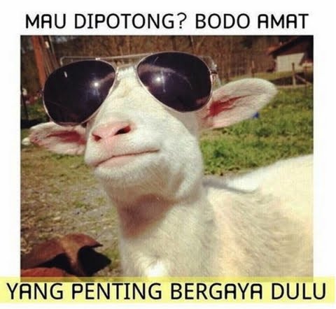  berinteraksi dengan siapapun dan dimanapun melalui internet Kumpulan Meme Qurban Lucu Instagram