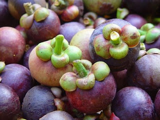 Mangosteen Anti-cancer for life