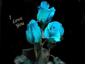 i love u light blue rose wallpaper