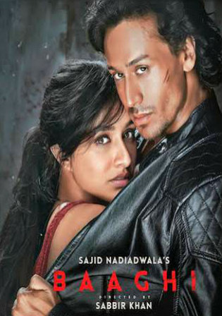 Baaghi 2016 Full Hindi Movie Download HDRip 720p