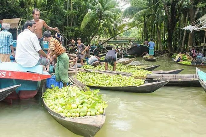 How to move floating guava market