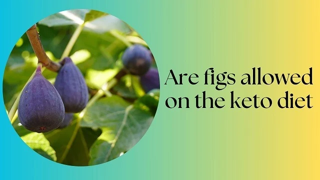 Are figs allowed on the keto diet 2