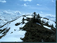 DSCN2710