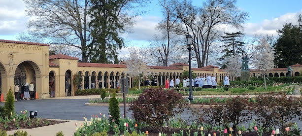 TLM Palm Sunday Triumphant Procession thru the Holy City