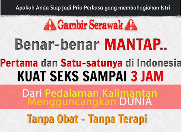 Gambir siam  gambir siam Kalimantan  gambir siam vs 