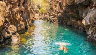 Islas Galápagos