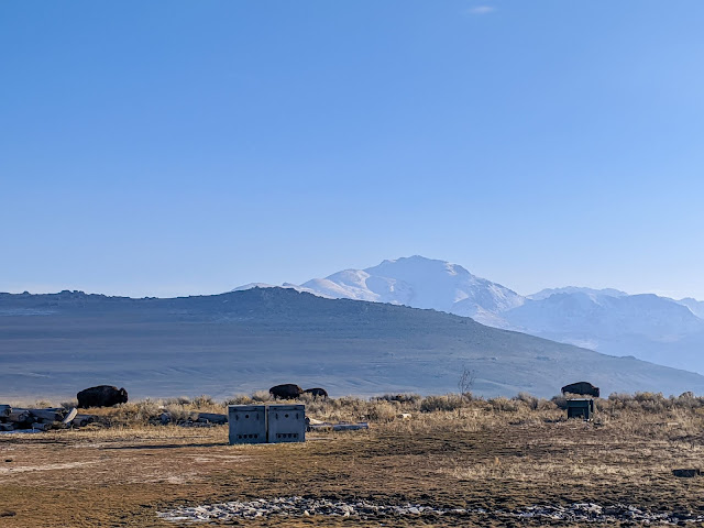 Antelope Island 