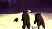 15 les chiens