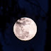 Πανσέληνος Ιουλίου: Ερχεται στον ουρανό το «Φεγγάρι του Ελαφιού»