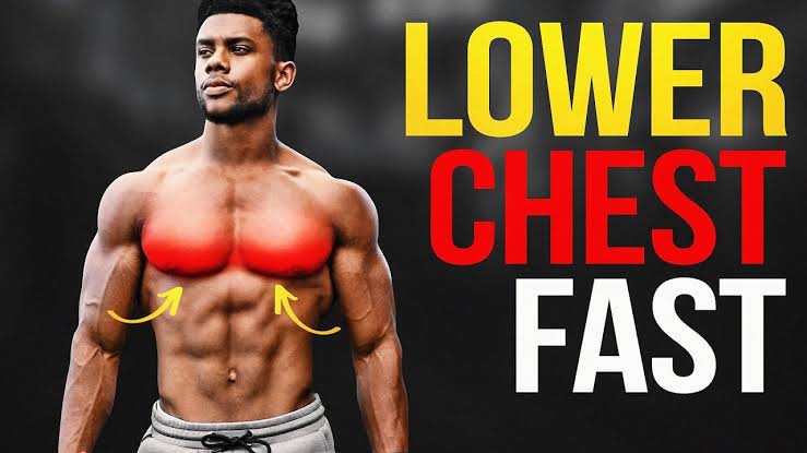 Exercises to target Lower chest
